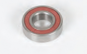 6004 REAR AXLE BEARING