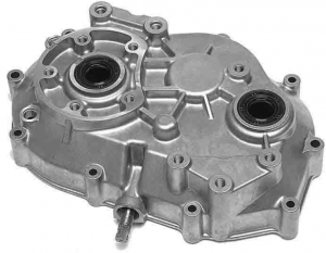 Complete Axle Case (Driver's Side)
